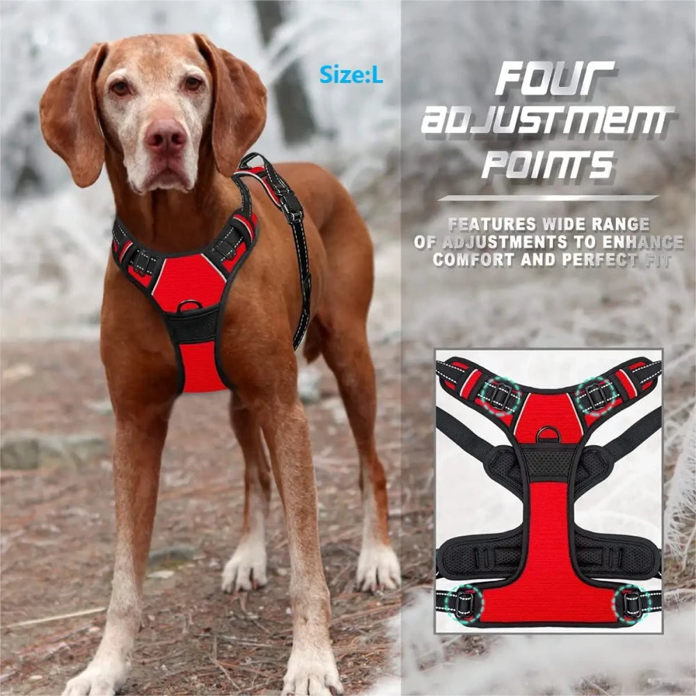 No-Pull Padded Dog Harness - Comfortable & Safe Walks