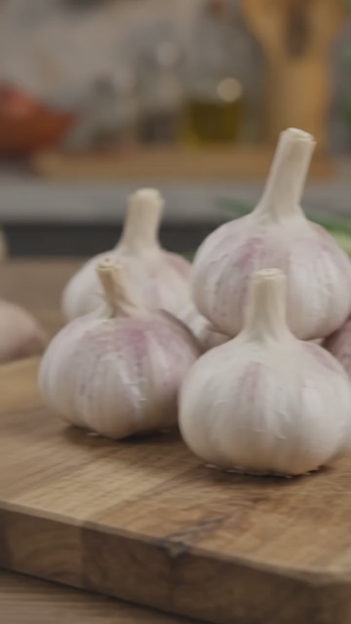 Vampire Garlic Crusher demo